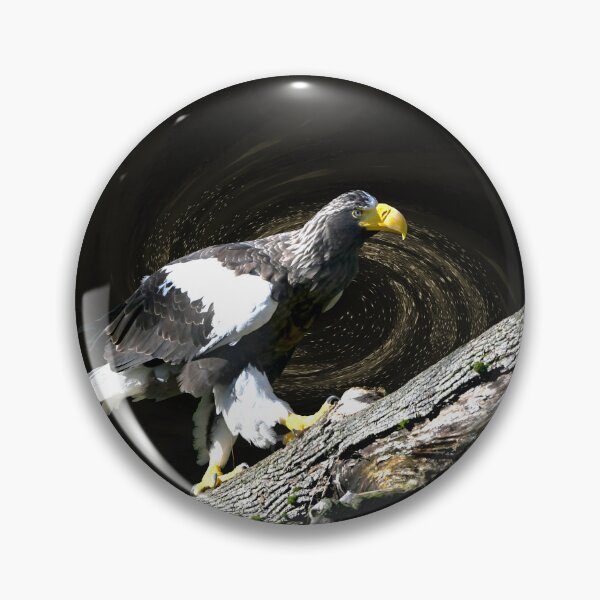 Item preview, Steller’s sea eagle 5 / Swiss Artwork Photography designed and sold by Raphael Wolf.
