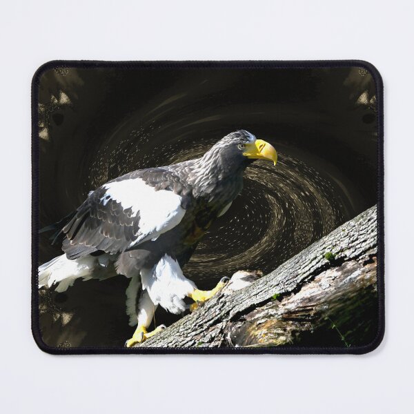 Item preview, Steller’s sea eagle 5 / Swiss Artwork Photography designed and sold by Raphael Wolf.