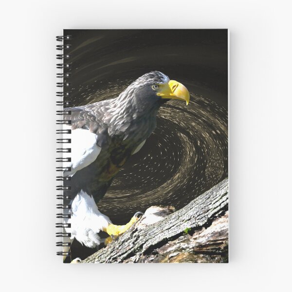 Item preview, Steller’s sea eagle 5 / Swiss Artwork Photography designed and sold by Raphael Wolf.