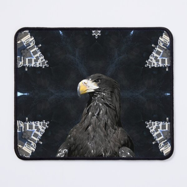 Item preview, Steller’s sea eagle 2 / Swiss Artwork Photography designed and sold by Raphael Wolf.