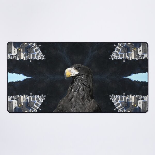 Item preview, Steller’s sea eagle 2 / Swiss Artwork Photography designed and sold by Raphael Wolf.