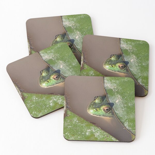 Item preview, Peek-A-Boo Frog designed and sold by Shoreline Photography .