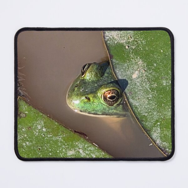 Item preview, Peek-A-Boo Frog designed and sold by Shoreline Photography .