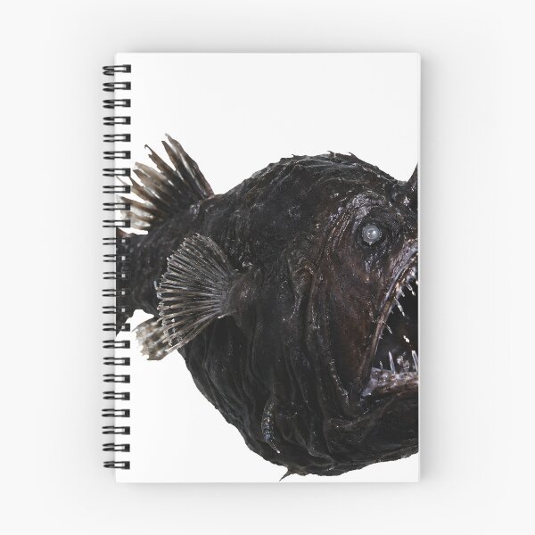Item preview, Anglerfish Melanocetus Johnsonii – Deep Sea Art designed and sold by Helt-enkelt.