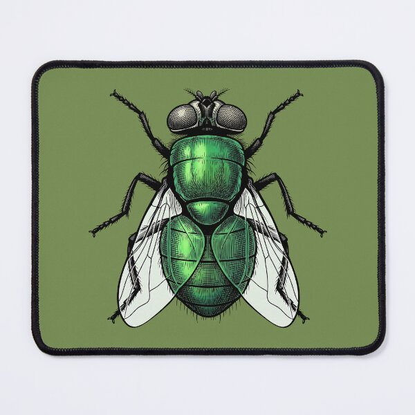 Item preview, Vintage Green Fly Insect Entomology Scientific Illustration designed and sold by MintaApparel.