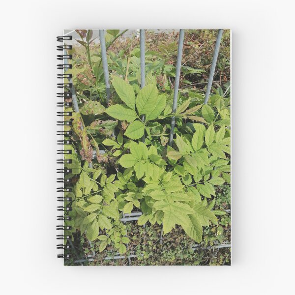 Item preview, Green leaves on the garden fence designed and sold by PhuongVoArt.