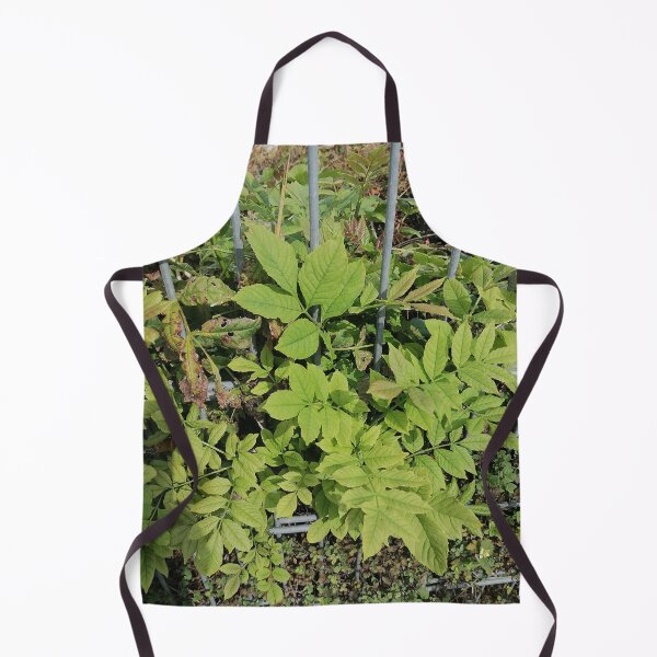 Item preview, Green leaves on the garden fence designed and sold by PhuongVoArt.