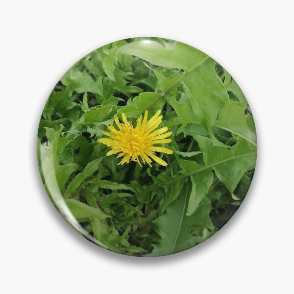 Item preview, Yellow dandelion in nature designed and sold by PhuongVoArt.