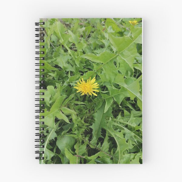 Item preview, Yellow dandelion in nature designed and sold by PhuongVoArt.