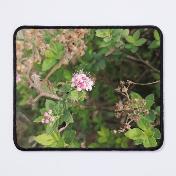 Item preview, Pink Japanese spirea in the garden designed and sold by PhuongVoArt.