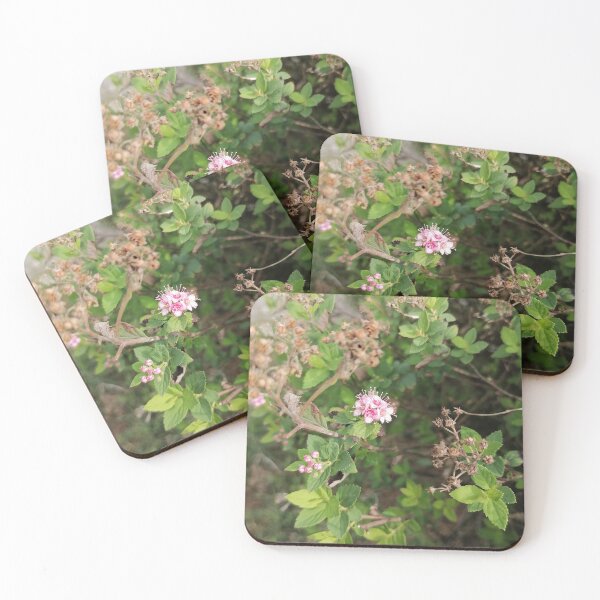 Item preview, Pink Japanese spirea in the garden designed and sold by PhuongVoArt.