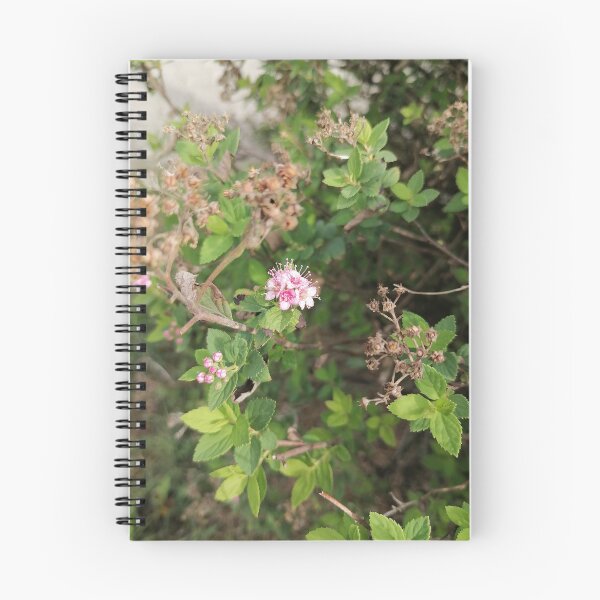 Item preview, Pink Japanese spirea in the garden designed and sold by PhuongVoArt.