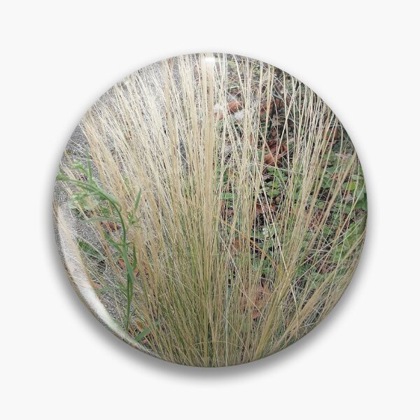 Item preview, Ornamental grass with long golden stems designed and sold by PhuongVoArt.
