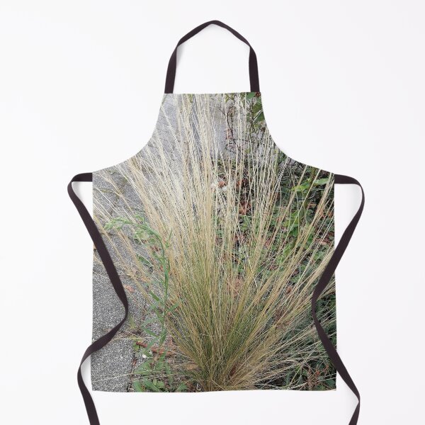 Item preview, Ornamental grass with long golden stems designed and sold by PhuongVoArt.