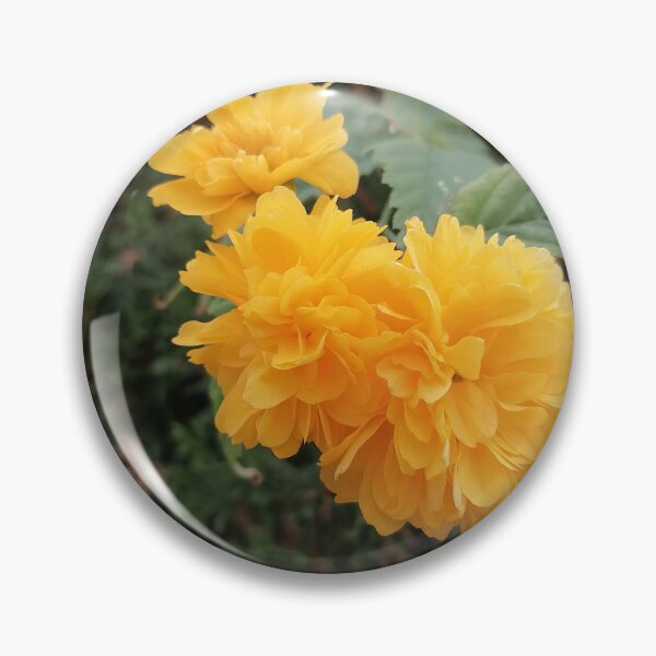 Item preview, Yellow Japanese kerria in the garden designed and sold by PhuongVoArt.