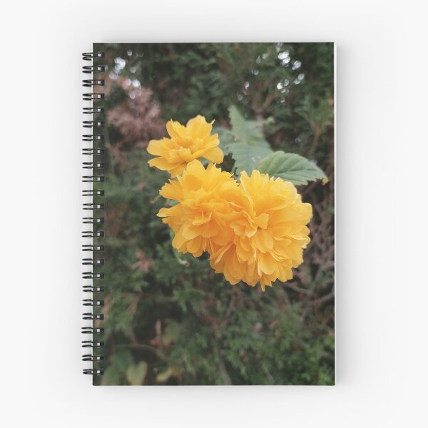 Item preview, Yellow Japanese kerria in the garden designed and sold by PhuongVoArt.