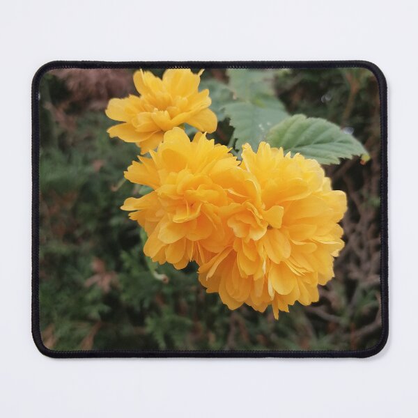 Item preview, Yellow Japanese kerria in the garden designed and sold by PhuongVoArt.