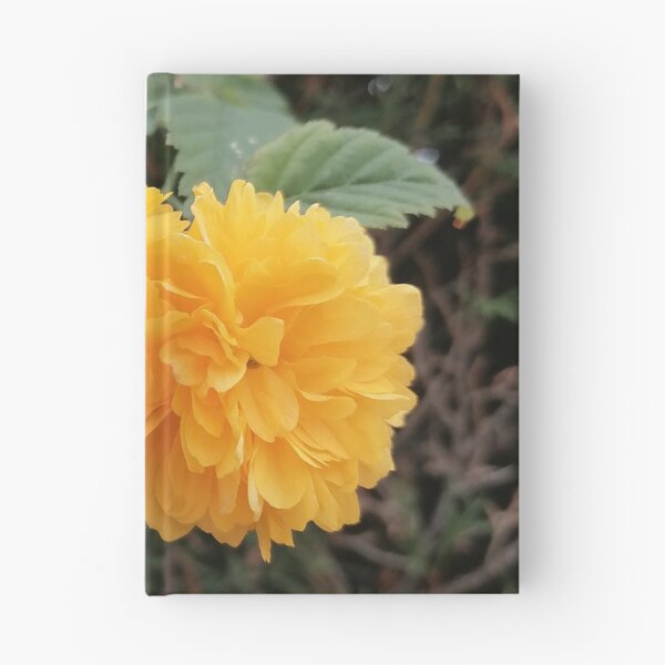 Item preview, Yellow Japanese kerria in the garden designed and sold by PhuongVoArt.