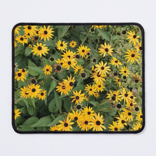 Item preview, Yellow rudbeckias with a dark center designed and sold by PhuongVoArt.