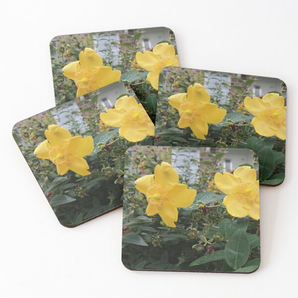 Item preview, Yellow St. John's wort flowers in the garden designed and sold by PhuongVoArt.