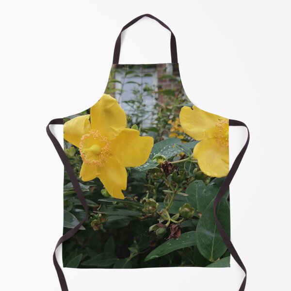 Item preview, Yellow St. John's wort flowers in the garden designed and sold by PhuongVoArt.