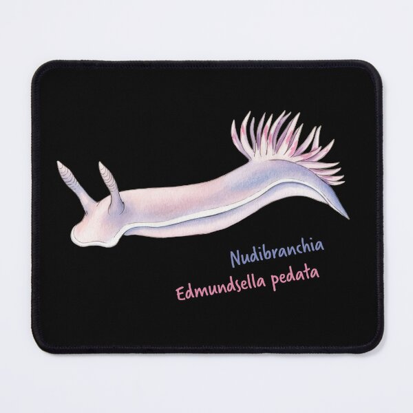 Item preview, Watercolor Nudibranch Edmundsella Pedata designed and sold by Litely.
