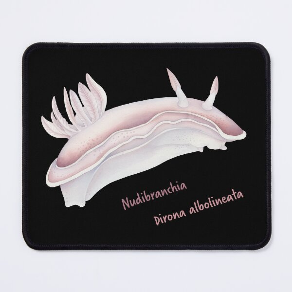 Item preview, Watercolor Nudibranch Dirona Albolineata designed and sold by Litely.