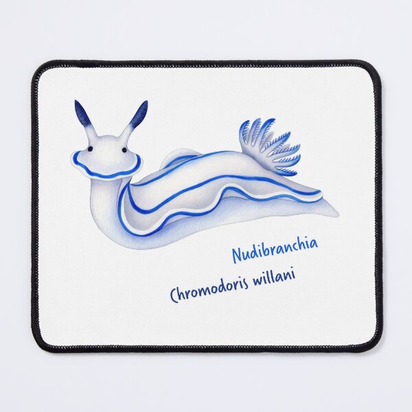 Item preview, Watercolor Nudibranch Chromodoris Willani designed and sold by Litely.