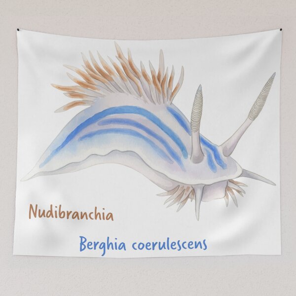 Item preview, Watercolor Nudibranchia Berghia Coerulescens designed and sold by Litely.