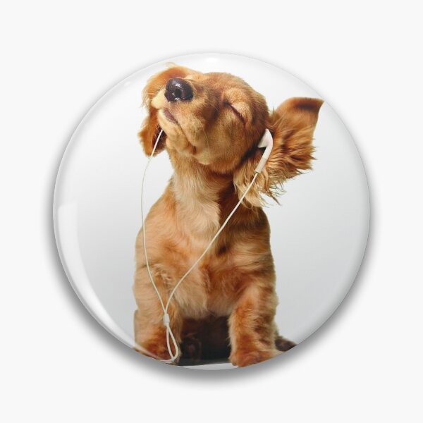 Item preview,  long-haired Dachshund puppy with earbuds listening to music wiener dog cute puppy dog music designed and sold by bunnylover4life.