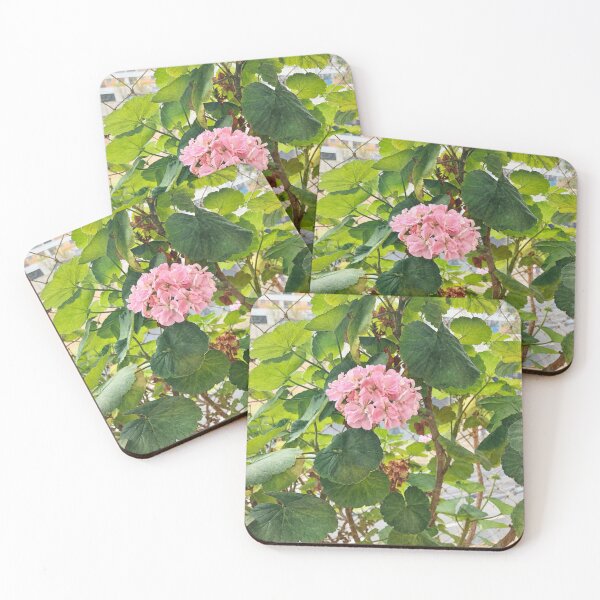 Item preview, Pink geraniums designed and sold by Carol-arts-.