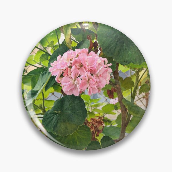 Item preview, Pink geraniums designed and sold by Carol-arts-.