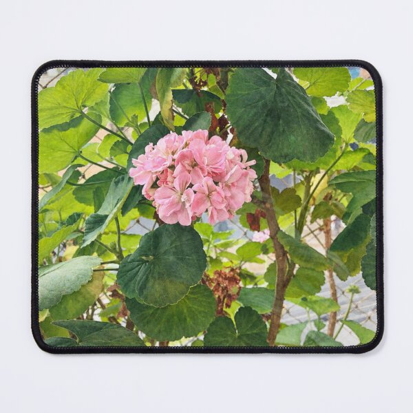 Item preview, Pink geraniums designed and sold by Carol-arts-.