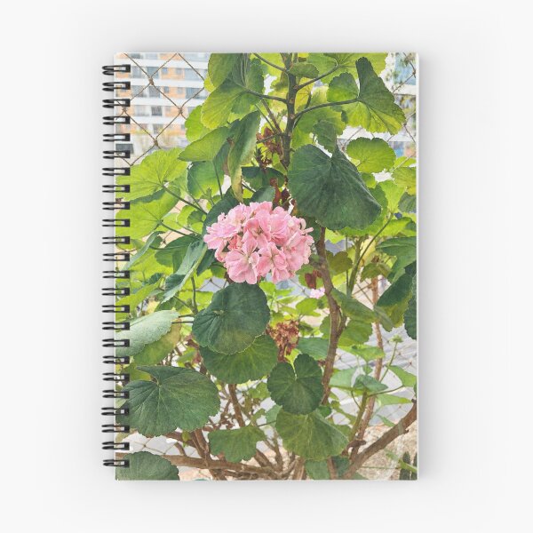 Item preview, Pink geraniums designed and sold by Carol-arts-.