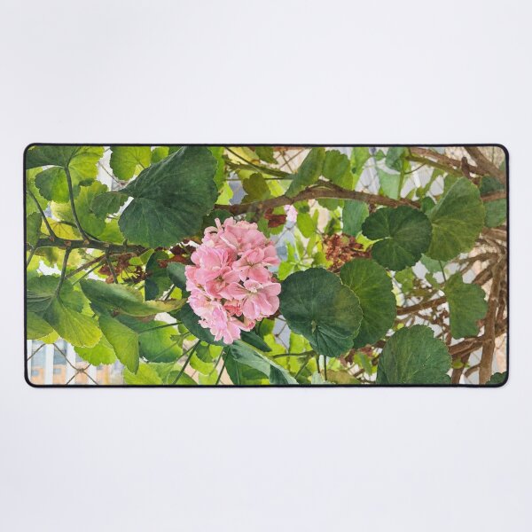 Item preview, Pink geraniums designed and sold by Carol-arts-.