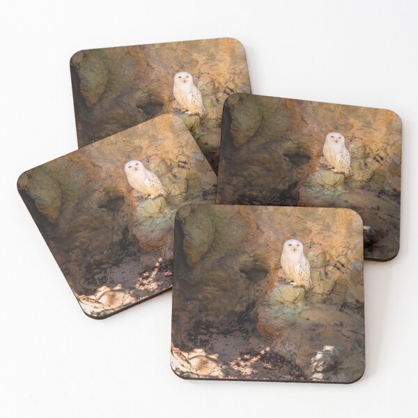 Item preview, Majestic Snowy Owl Perched in Sunlit Rocky Cave designed and sold by ArtworkNorth.