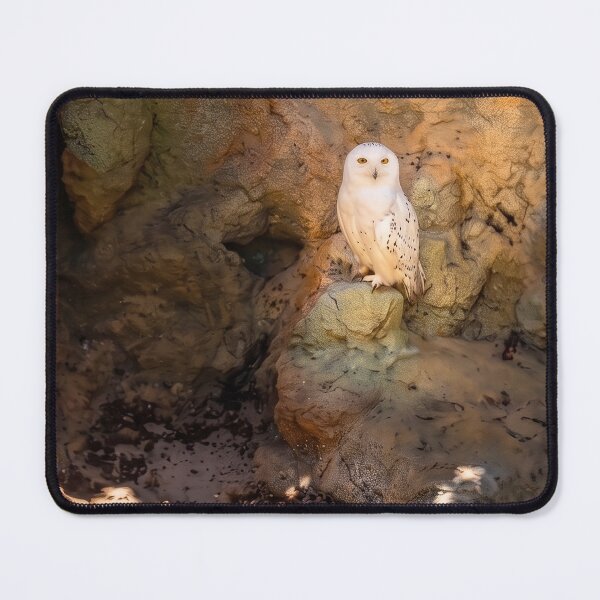 Item preview, Majestic Snowy Owl Perched in Sunlit Rocky Cave designed and sold by ArtworkNorth.