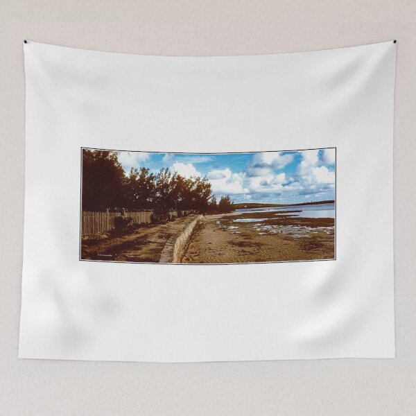 Item preview, Caribbean Coastal Scene, Concrete Seawall, Weathered Wooden Fence, c. 1960 designed and sold by AMacGPhilly.