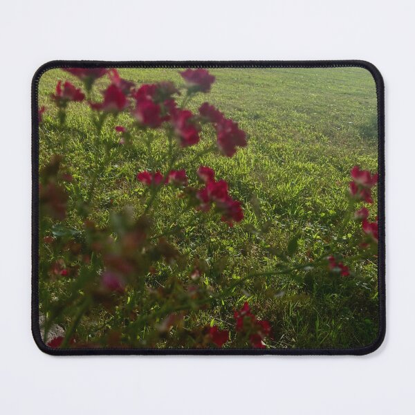 Item preview, Roses in the field designed and sold by Shotbymeech.