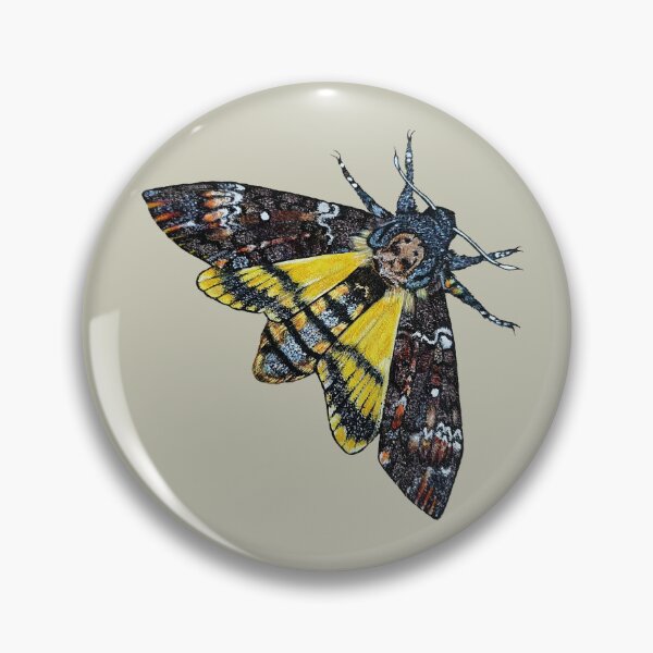 Item preview, Deaths Head Hawkmoth ~ Scientific Illustration designed and sold by wolveshaunt.
