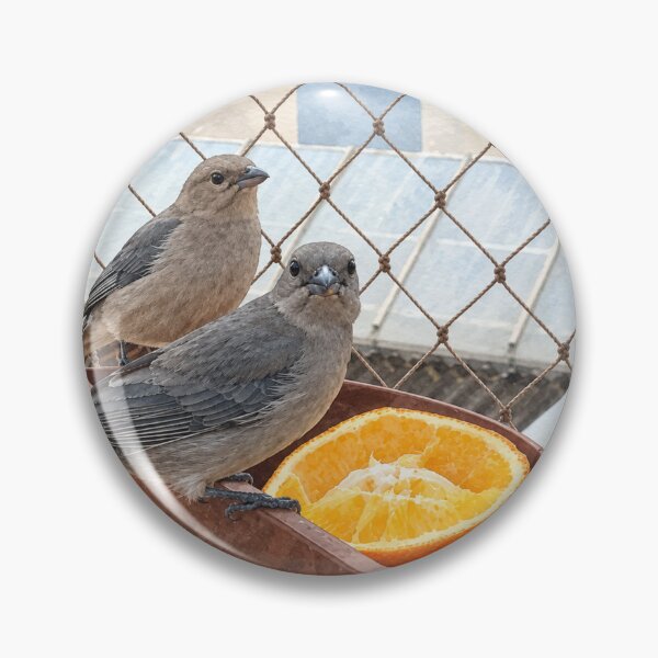 Item preview, Little birds on the window designed and sold by Carol-arts-.