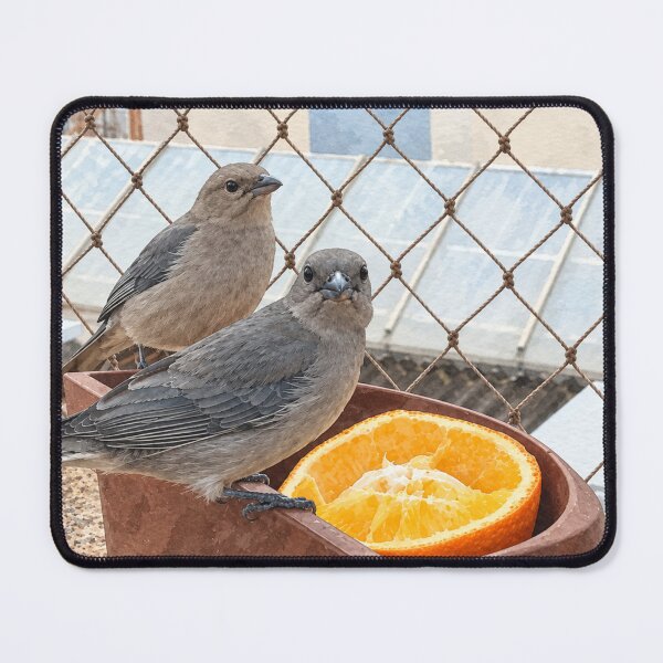 Item preview, Little birds on the window designed and sold by Carol-arts-.