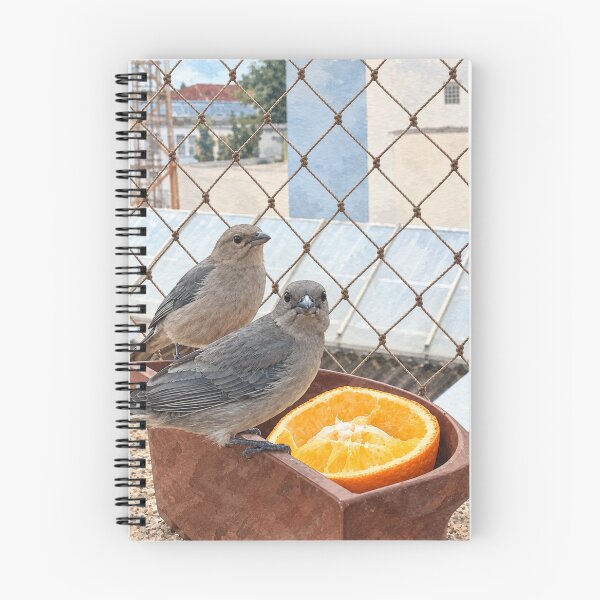 Item preview, Little birds on the window designed and sold by Carol-arts-.