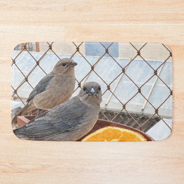 Item preview, Little birds on the window designed and sold by Carol-arts-.