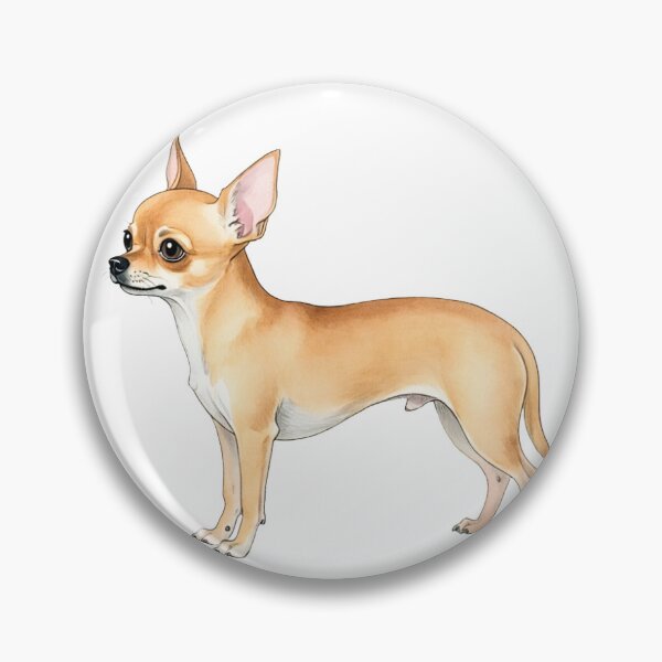 Item preview, Chihuahua Vintage Field Guide Illustration Sticker designed and sold by TheRandomHuman.