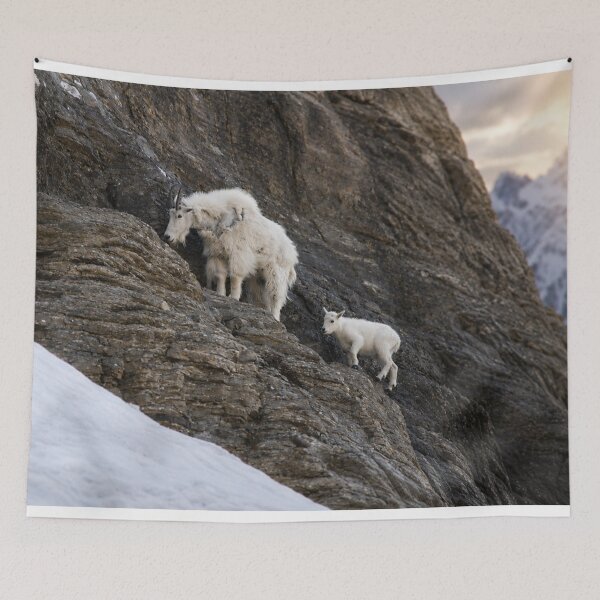 Item preview, A Mother’s Path designed and sold by Kimberly Palmer.