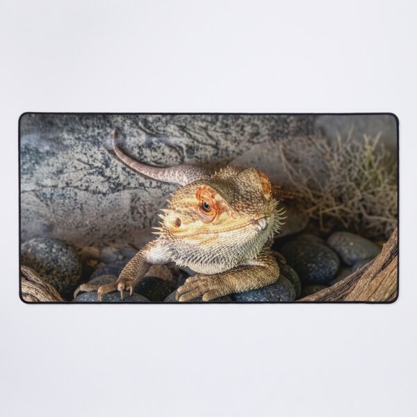 Item preview, Bearded Dragon Lizard designed and sold by ArtworkNorth.