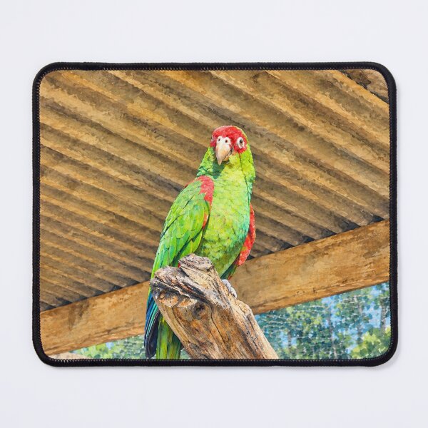 Item preview, Green macaw designed and sold by Carol-arts-.