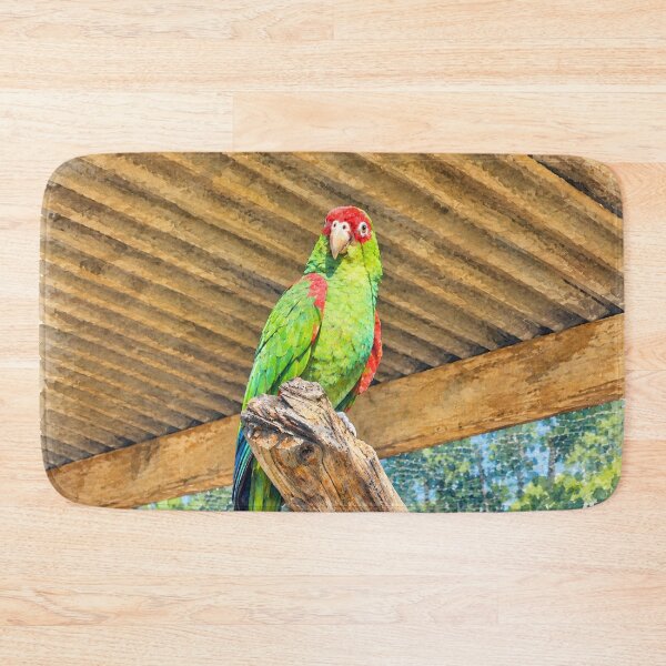 Item preview, Green macaw designed and sold by Carol-arts-.