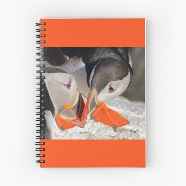 Item preview, Puffin Love designed and sold by TCW Studios.